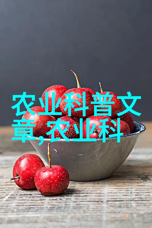 高效蛋鸡养殖技术从种选到饲养的全过程优化策略
