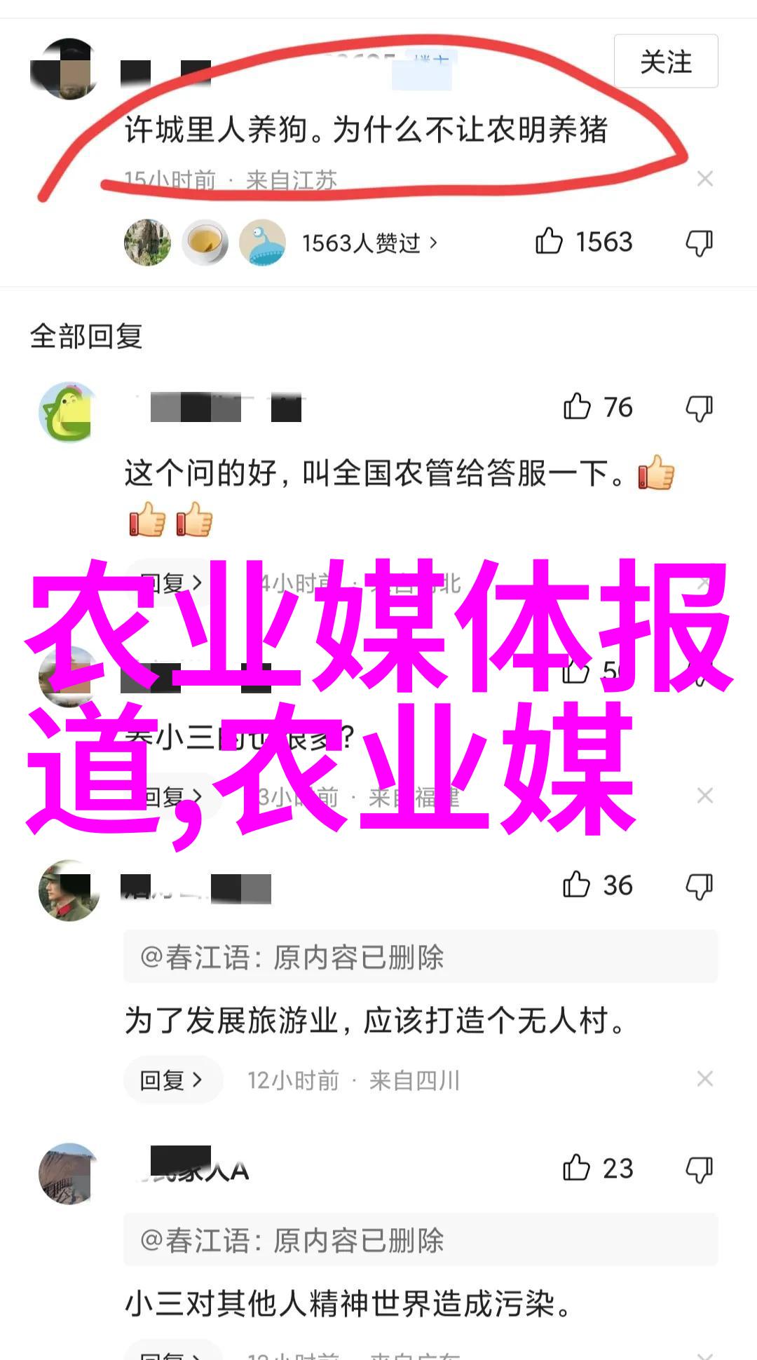 西洋菜大冒险从花园到餐桌的奇幻旅程