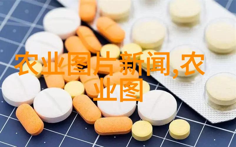 花卉大棚建设指南如何规划和搭建一个理想的花卉培育环境