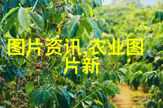 花卉植物大全-绚彩世界探索与欣赏各类花卉植物
