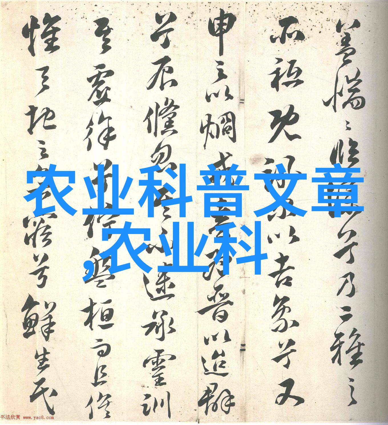 丰富多彩的果实世界种子图片展览