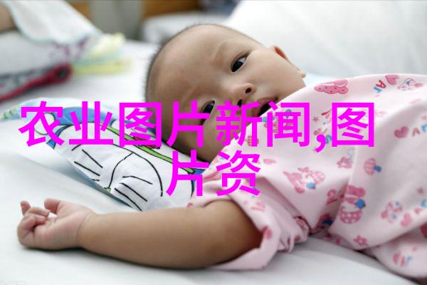 国际贸易摩擦影响国内猪肉价格走势