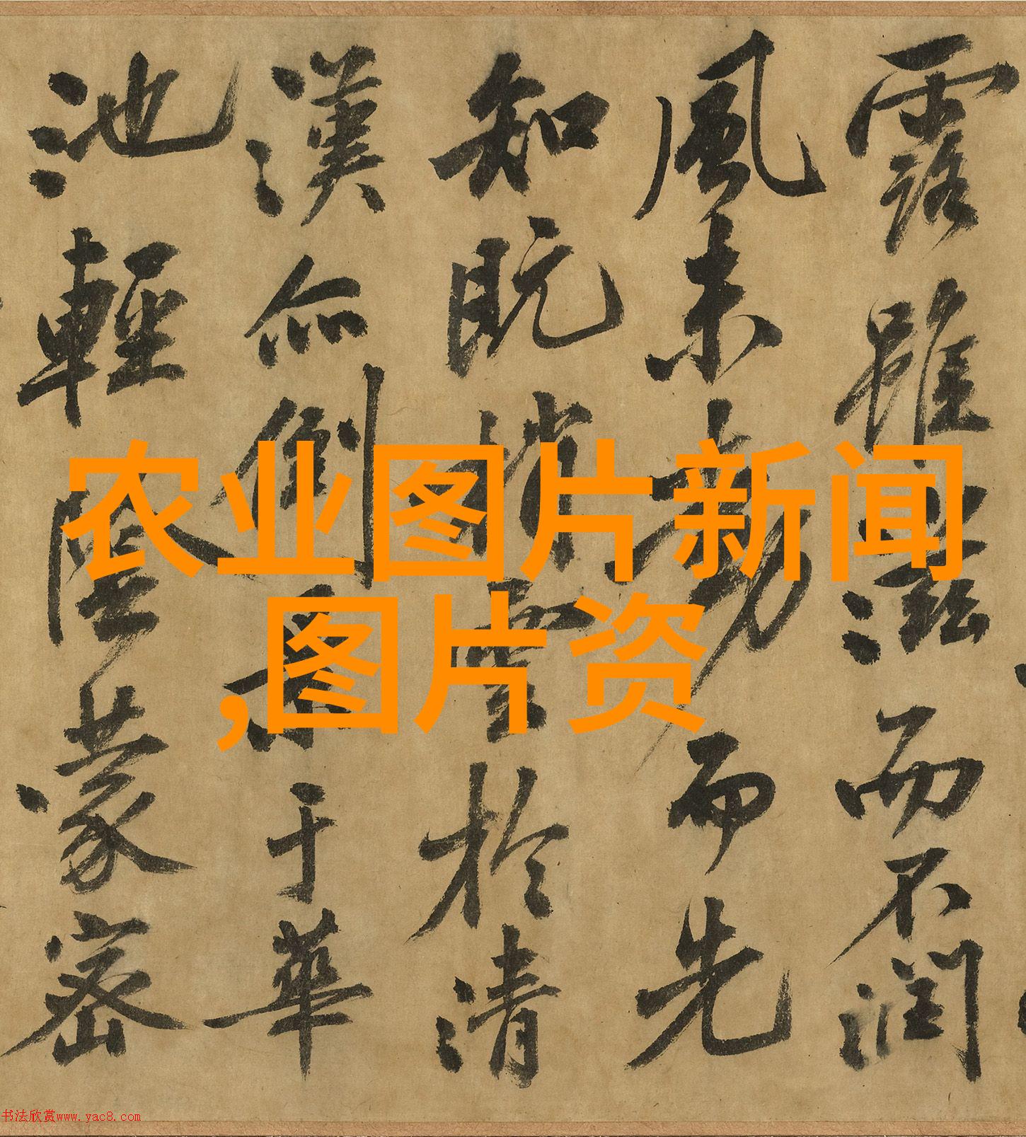 建个花卉大棚挣钱吗咱们来点小心思种花赚钱不难