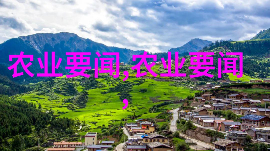 花颜策揭秘百度云中的奇妙文本探险