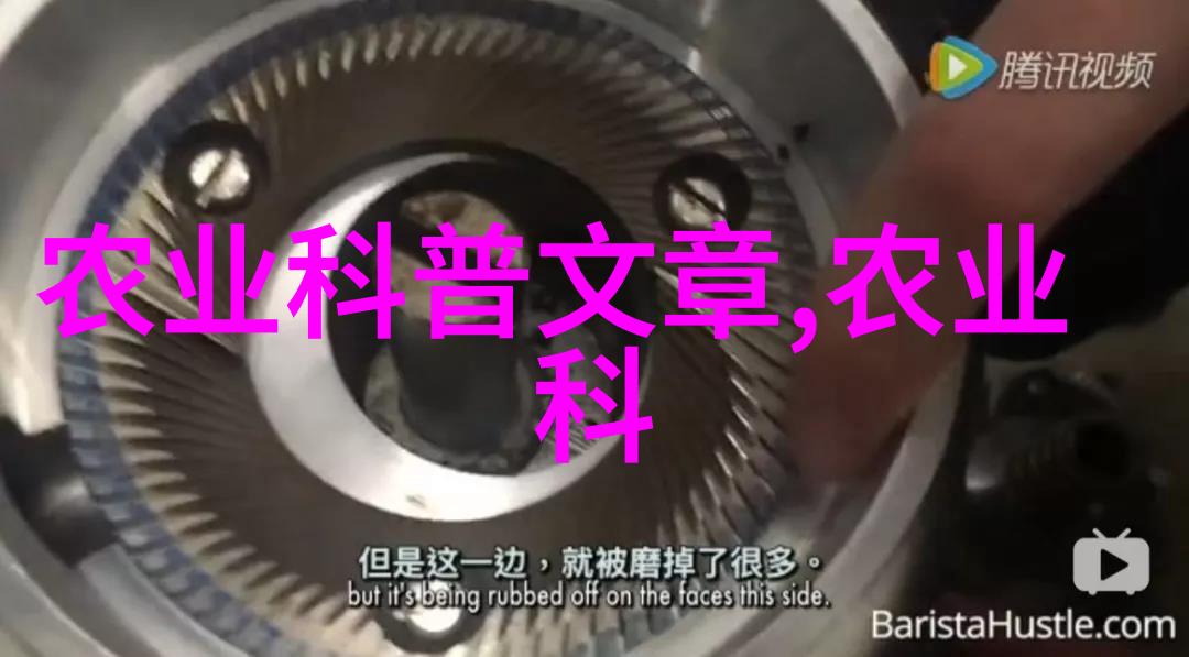 绿意盎然水生蔬菜的奇迹之旅