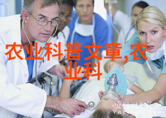 耕耘起源追溯农业文明的初步探索