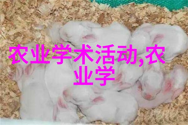 建立一种新型的分红模式对提高养牛业绩有什么帮助呢