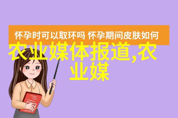 数字传媒探秘编码艺术与信息风暴的交响