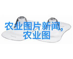 家中植树法则如何通过风水树增强住宅命运