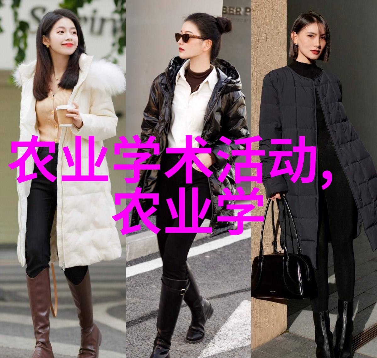 水果籽盆栽艺术揭秘哪些籽种最美观