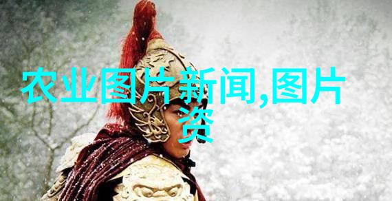 蔬菜种植-精准耕耘详细的蔬菜种植时间表指南