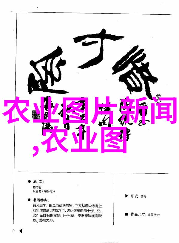 广东适合种植的药材精选从桂圆到茯苓探秘省内最佳药用植物