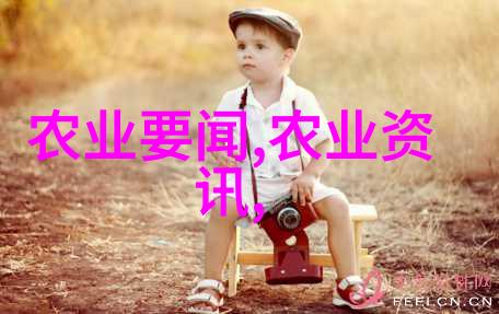 花盆中的绿意如何种植自在的家园蔬菜