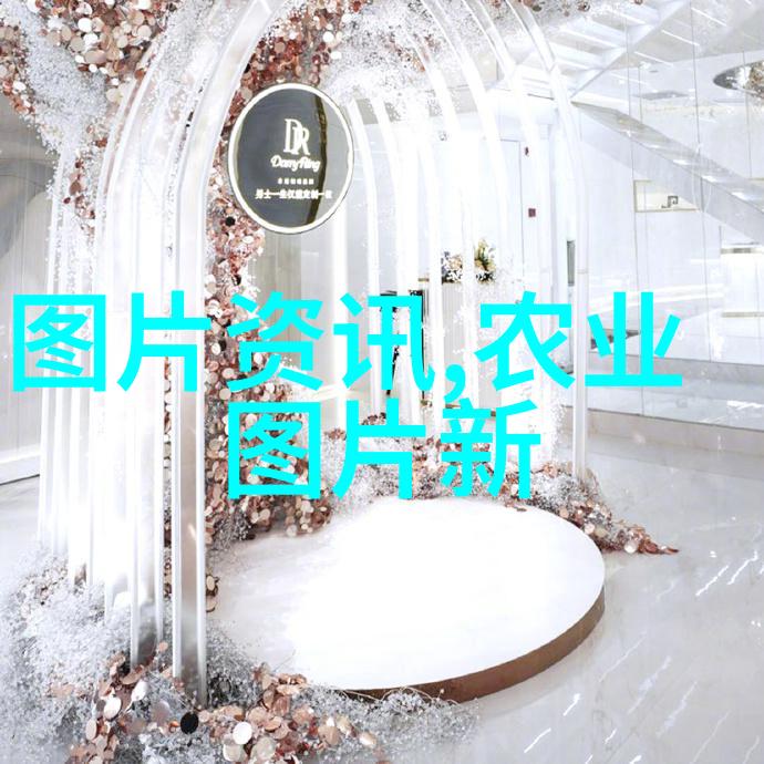 兴旺发达小小园丁精选10种易于管理且富有財氣的小型植物種植指南