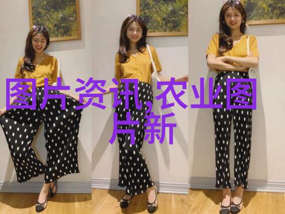 创新驱动如何提升小型加工机械的效率