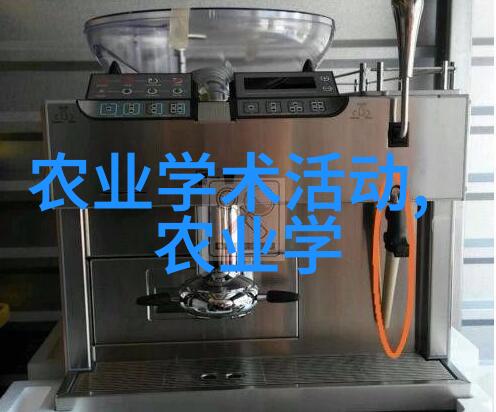 蜜蜂之谜黄金的秘密与死亡的守护者