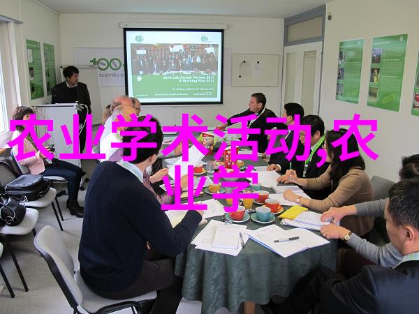 缅甸民主运动面临的挑战是什么