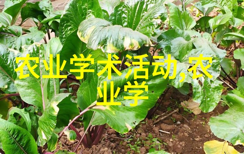 附近今天招工信息招聘-当地劳动力需求旺盛紧急寻找新员工