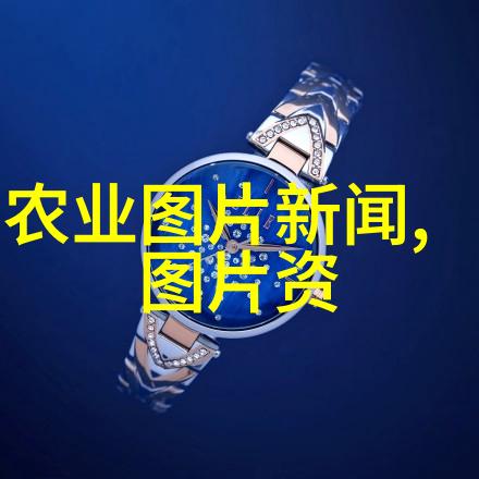 B主题深度探究从基础到应用的全方位总结