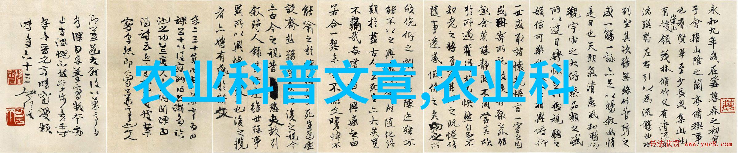 苗圃精选揭秘如何挑选高品质花卉种子