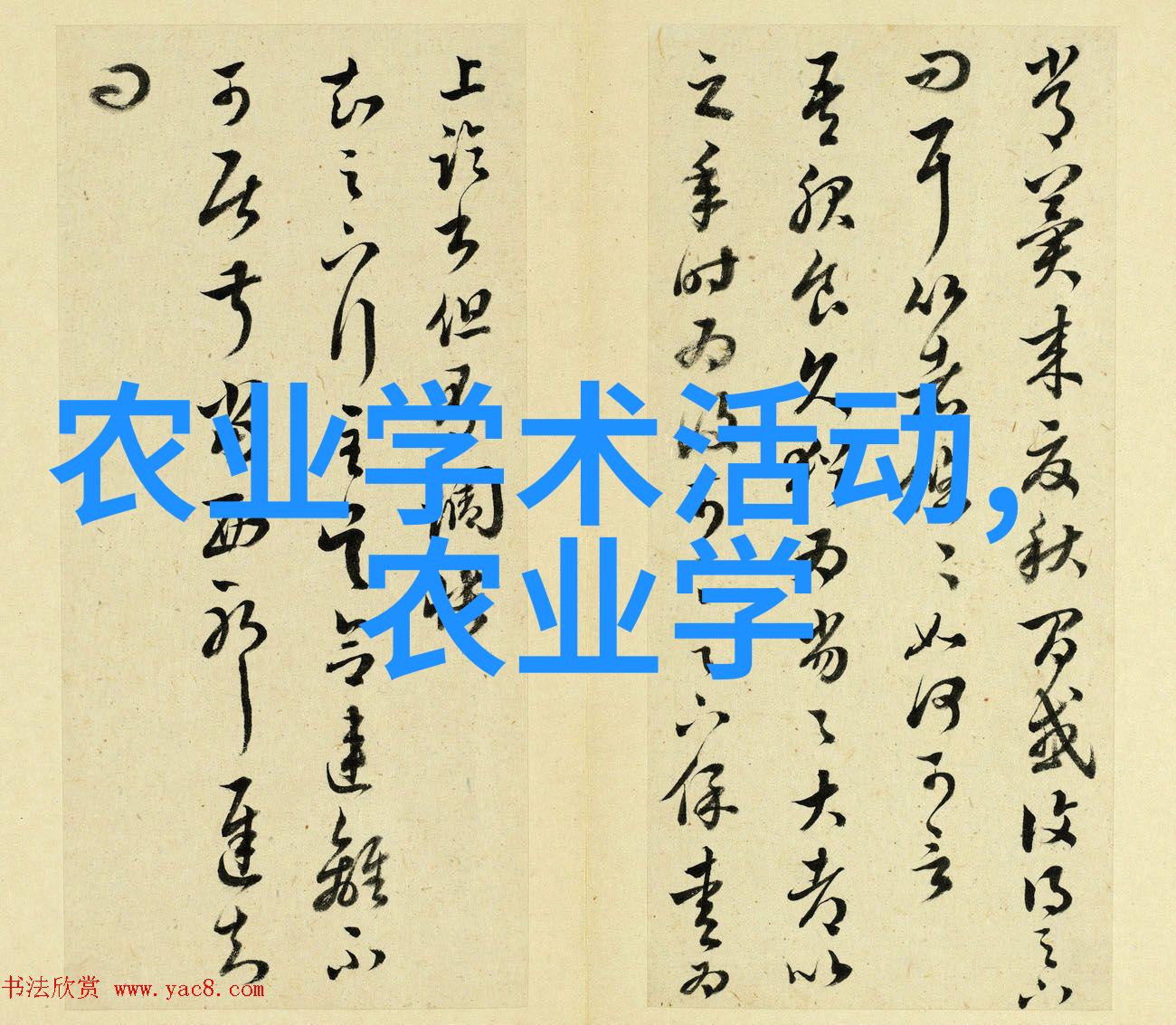 清洁下水道的高效方式棒棒通的奇妙之处