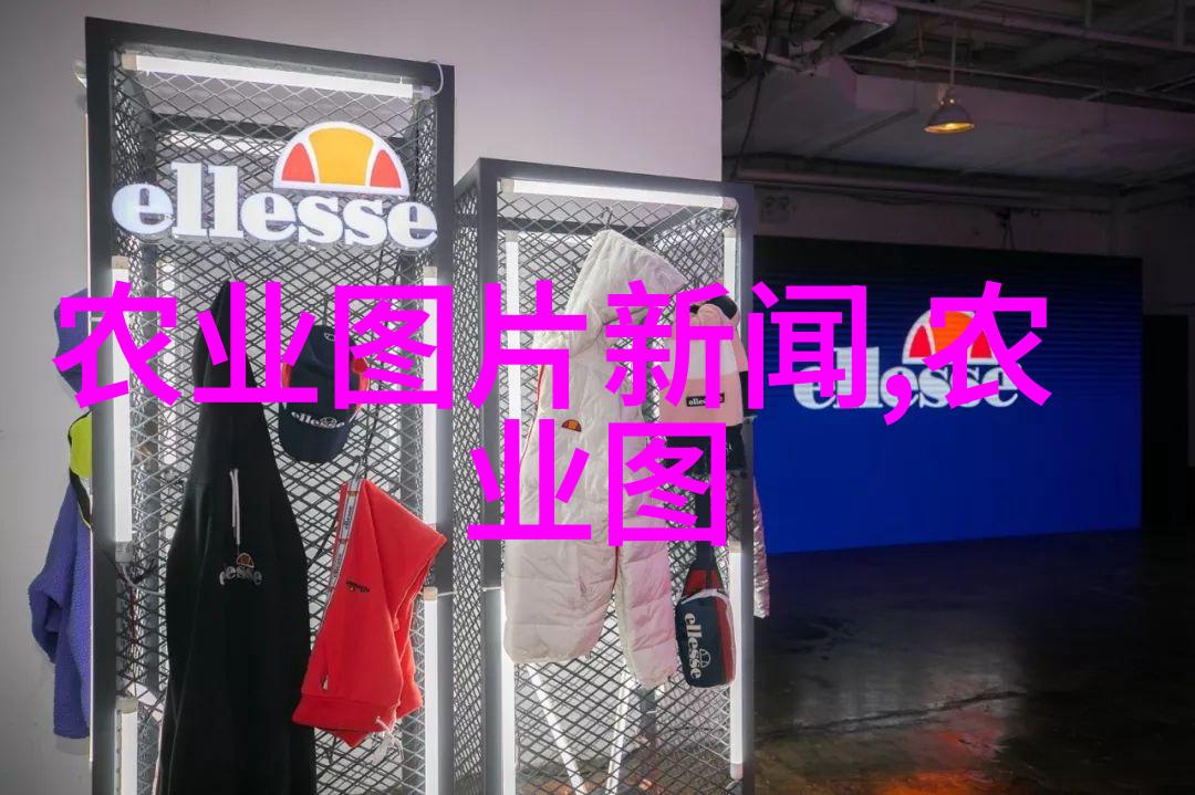 蜜源丰富法则如何运用一箱原则提升产量