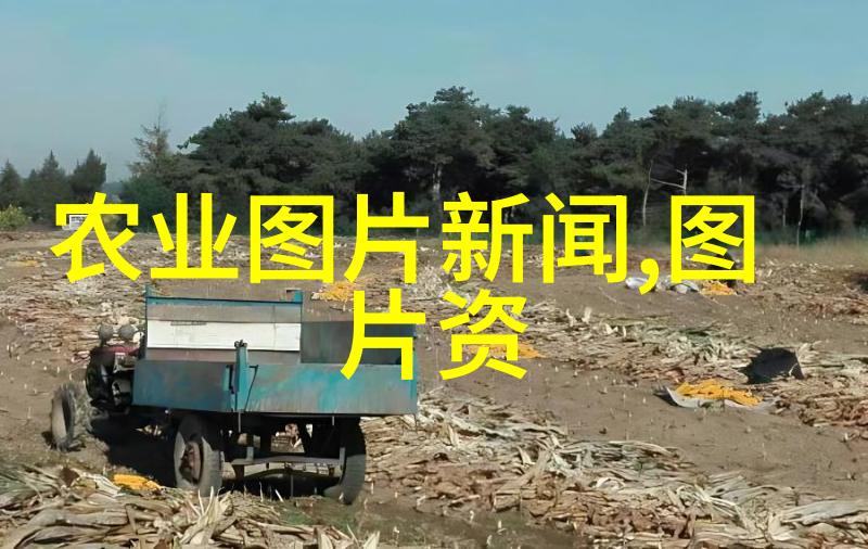 农业的多样面貌剖析种类与特点
