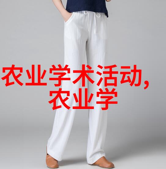 夏日蔬菜选丰收的秘密花园