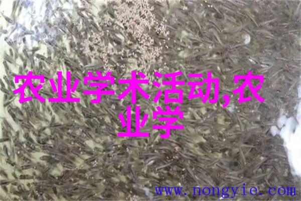 穷人养羊越养越穷-羊群中的贫困揭秘为什么贫困地区的牧业往往难以摆脱困境