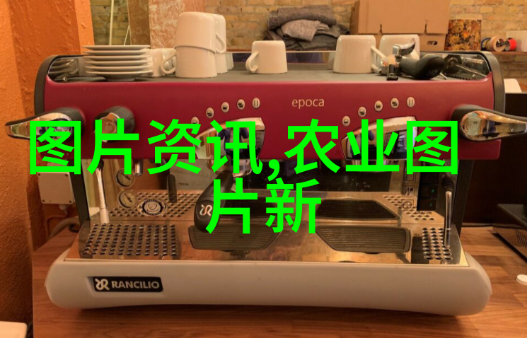 茶入门探索世界各地的美味绿茶红茶乌龙茶