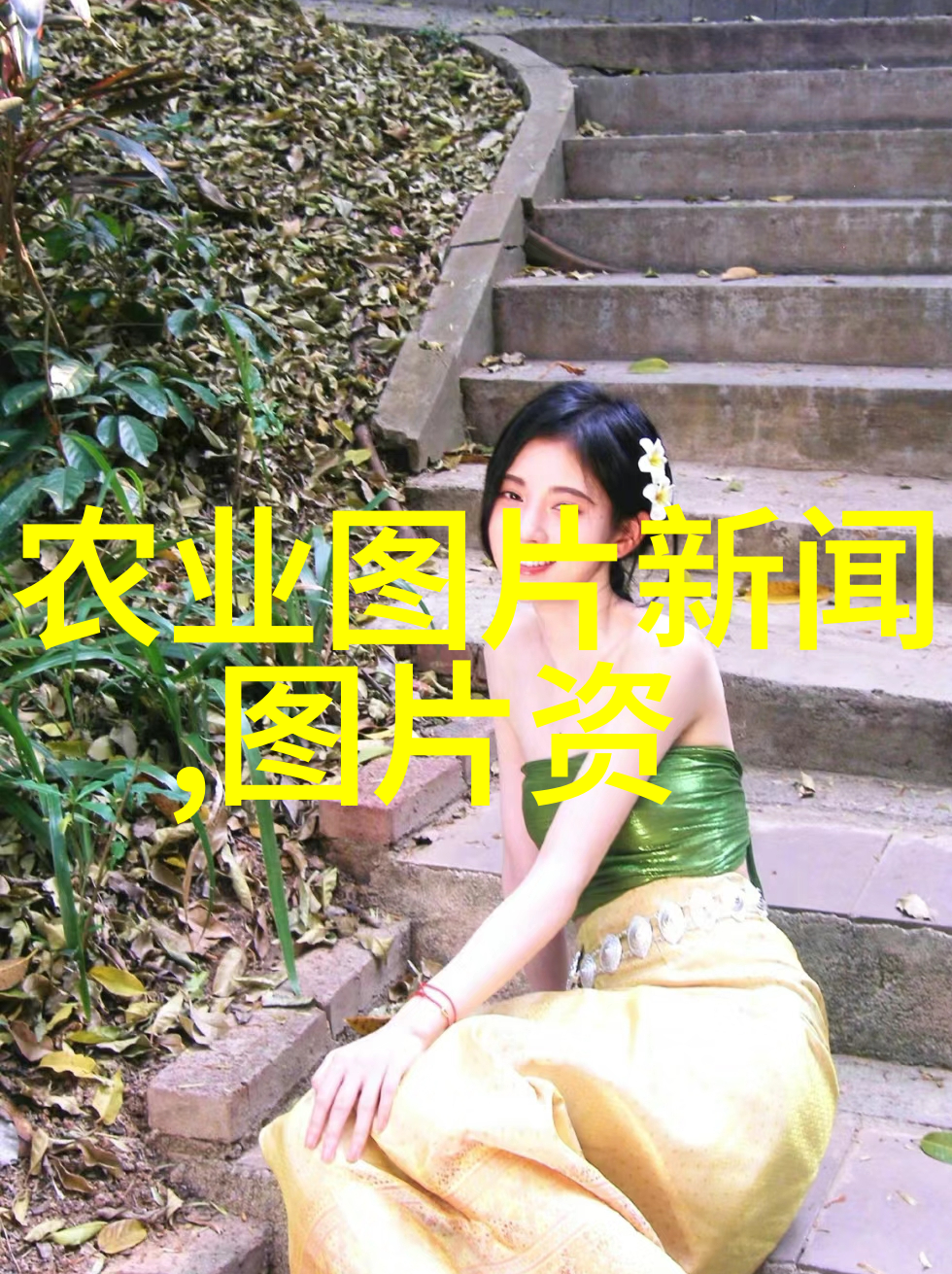 丰收金田一年见效最赚钱的奇迹植物