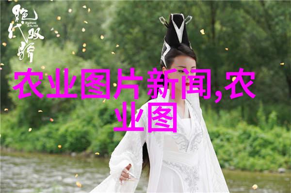 种子之旅色彩斑斓的生命篇章