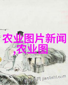 中国美女高清视频免费观看美丽姑娘的优雅瞬间