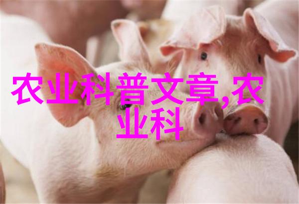洛宜路上的法桐惨遭毁坏简招求助于寻找真相