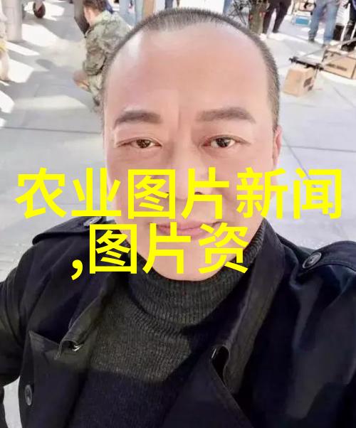 丰收之谜农用机械app平台背后的秘密