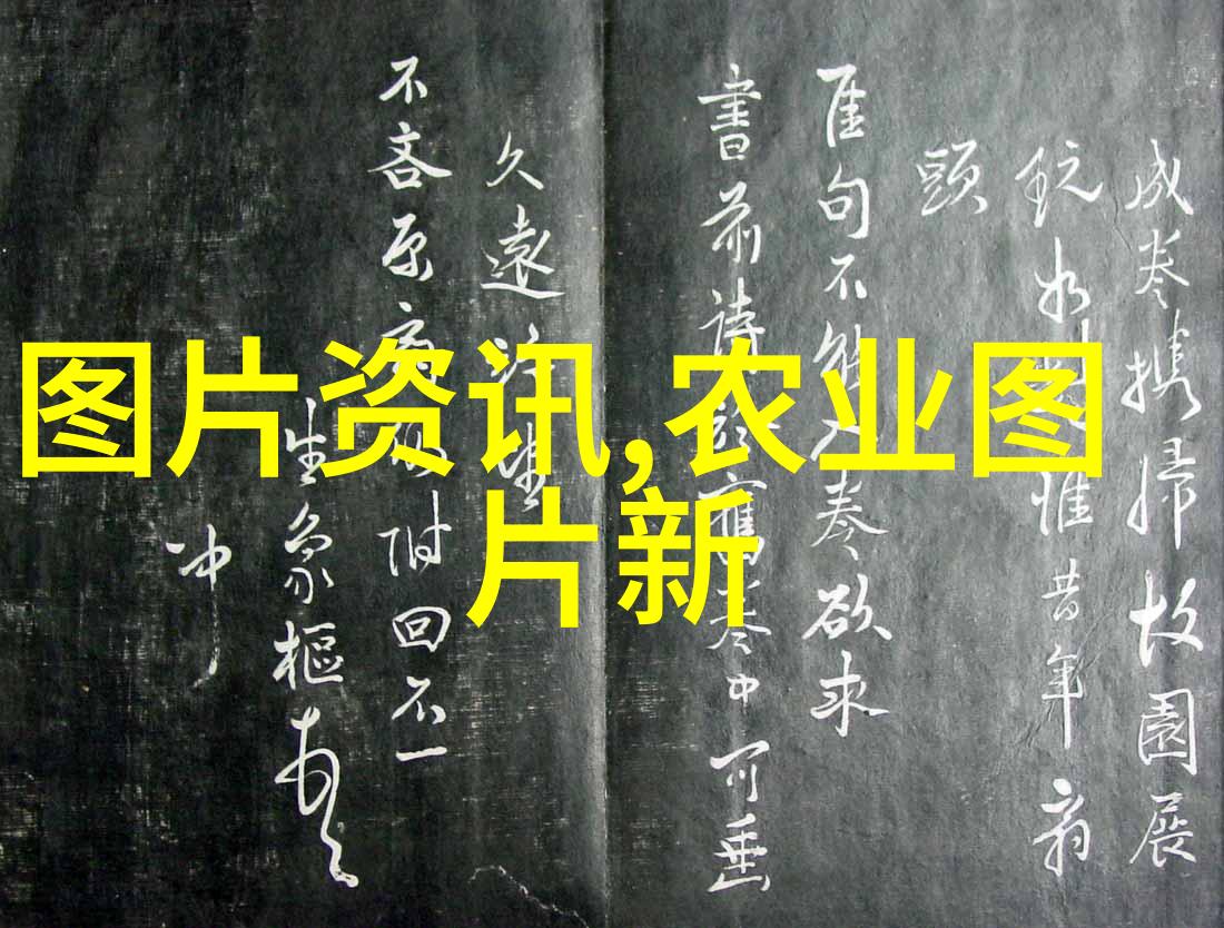 中药材种植从土到药的奇妙旅程