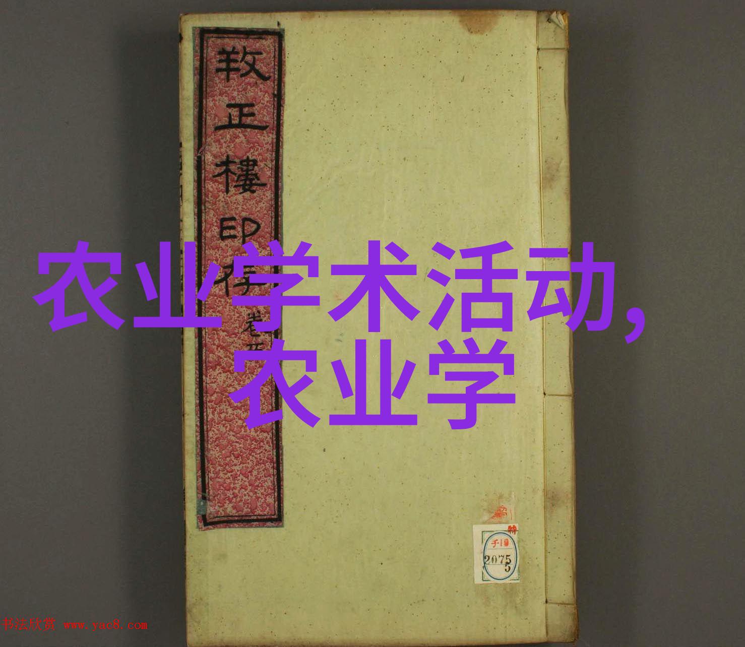 城市通道的钢铁心脏升降机的奇妙世界