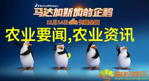 历史与文化深入了解中国传统茶艺