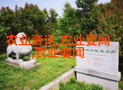 图4:田园诗篇中的医学奇迹