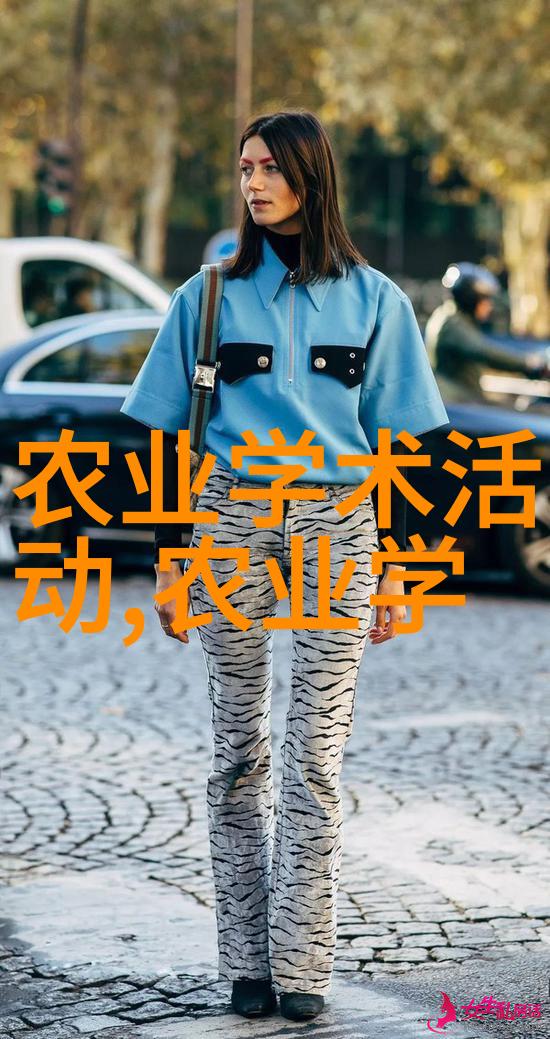种子之美花园里的宝石