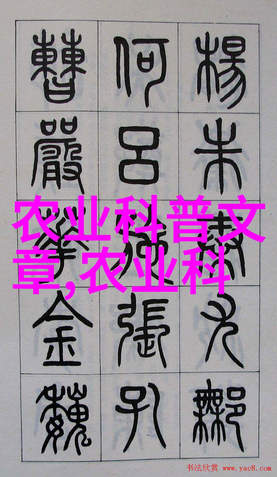 青青花木绚烂历史与静默美的交响