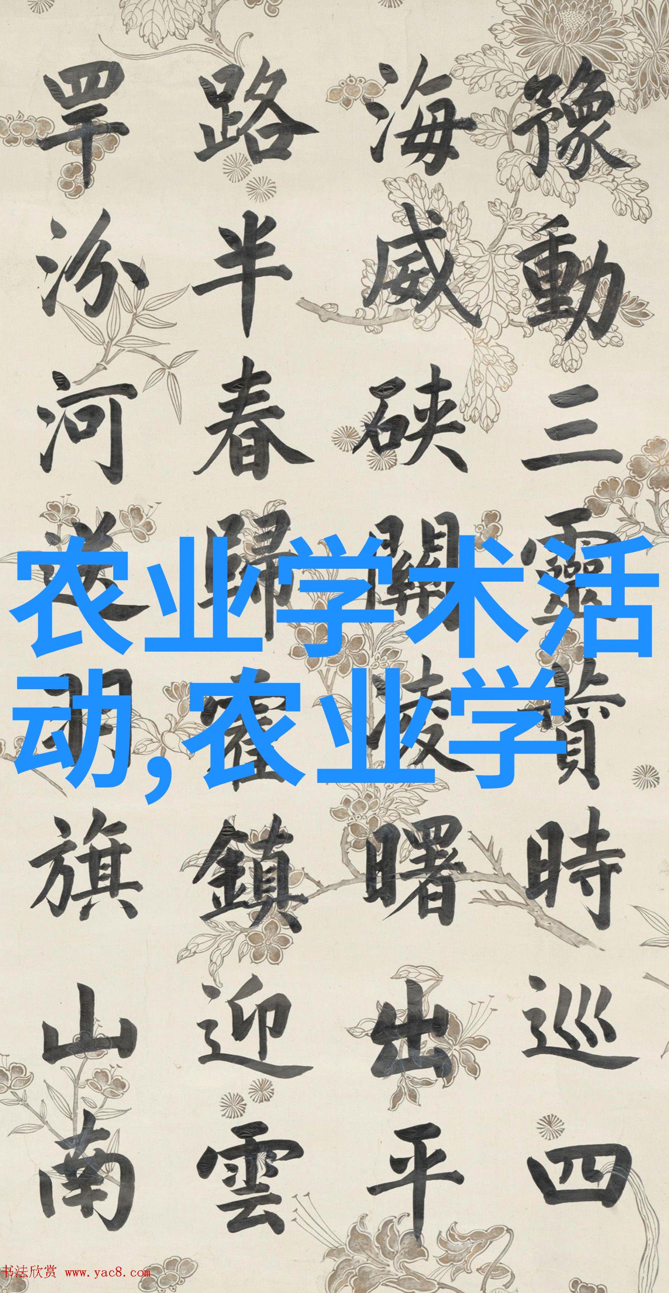 乙草胺和其他抗癫痫药物的比较研究