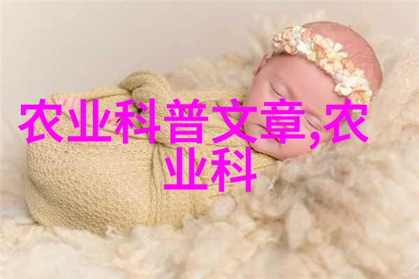 新手蔬菜商户的首要问题如何高效拿货