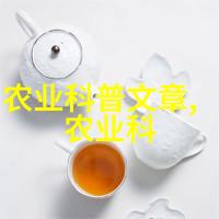 无土水培蔬菜种植技术高效的室内绿色食品生产方法