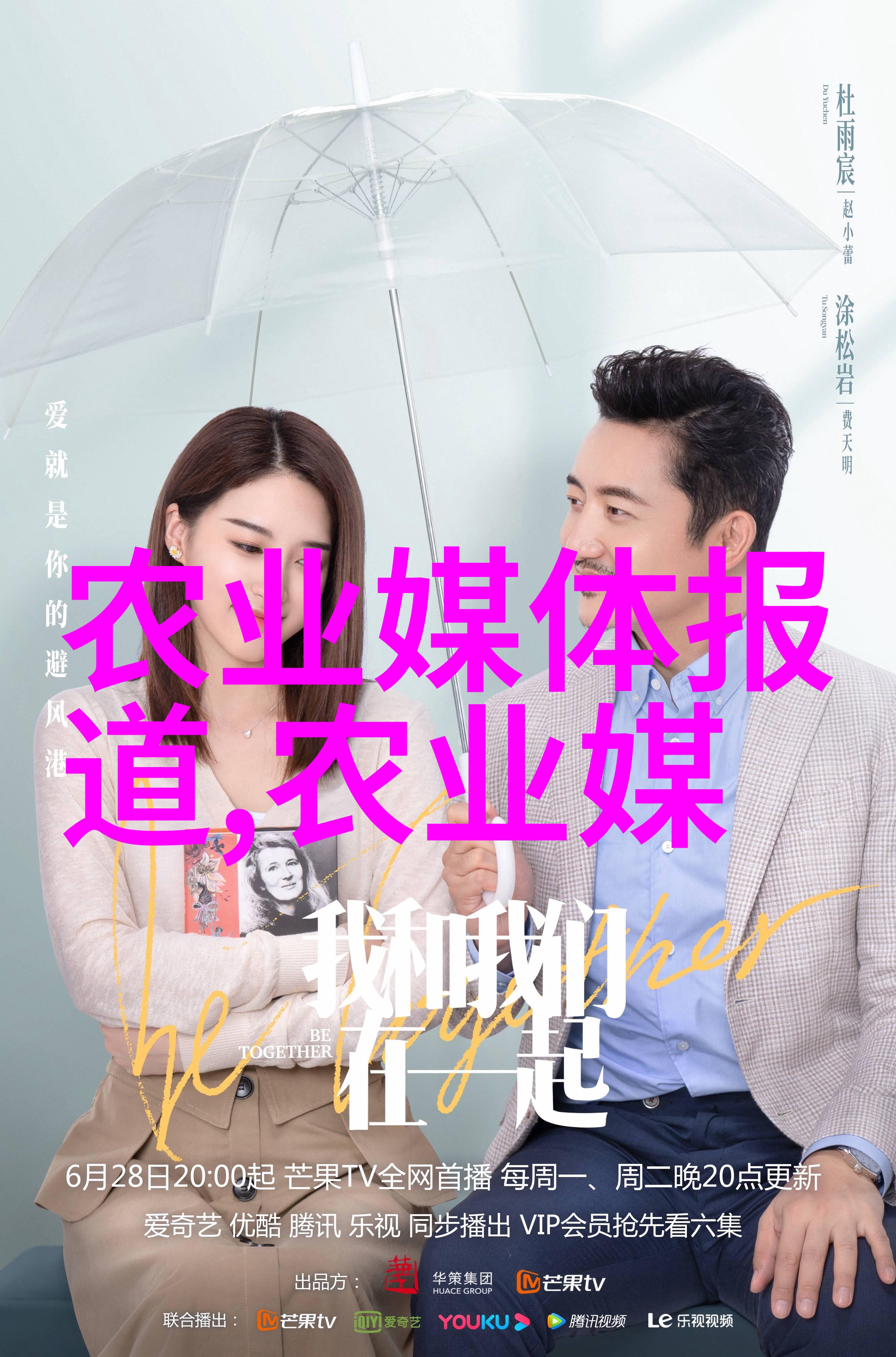 绿意盎然花卉造型艺术的绚烂盛宴