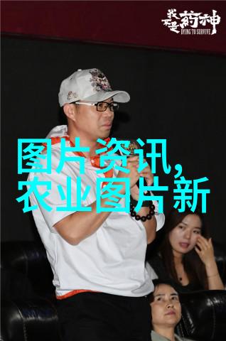 亳州秘境中药材之谜与合作的阴影