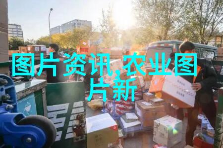 在庆祝澳门回归祖国25周年大会暨澳门特别行政区第六届政府就职典礼上发表重要讲话