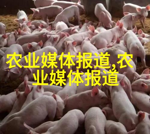 图像描述