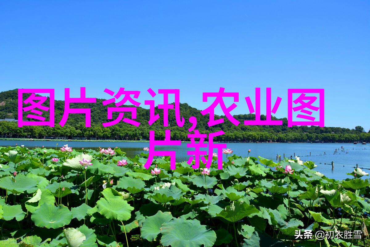 自自然然之美户外采摘真实家庭水果摄影作品集