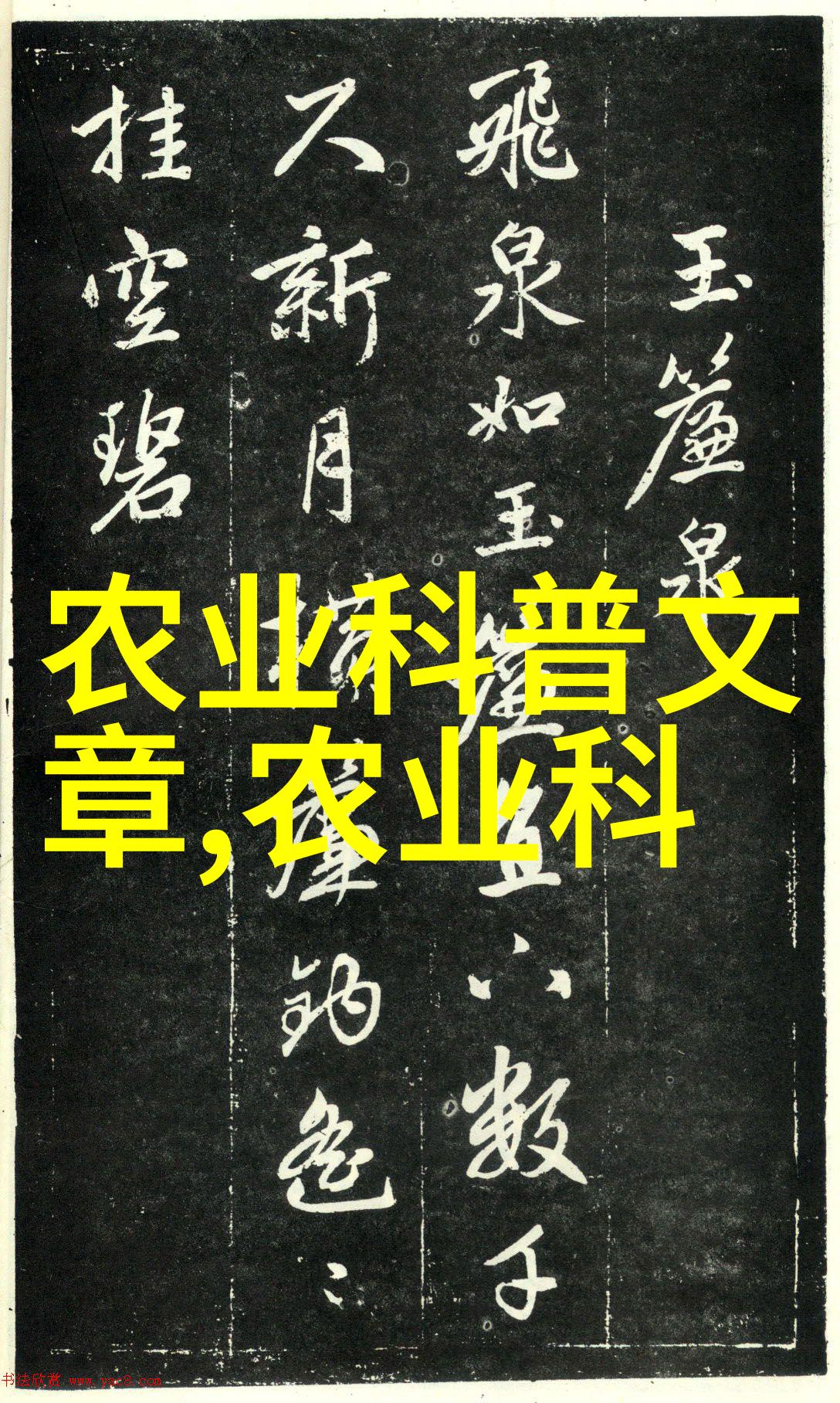 常州花木批发市场园艺爱好者的天堂